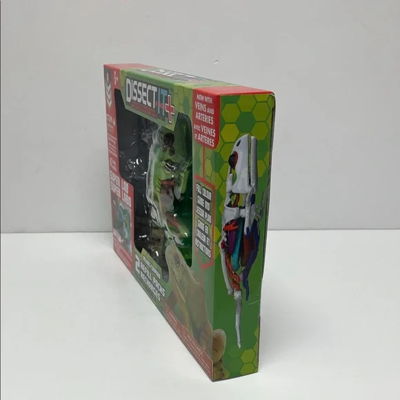 Dissect-It Super Lab Frog - Picture 10 of 12